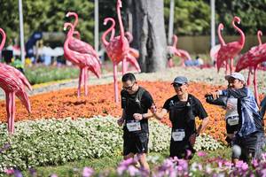 BIB: 
                            <button type="button" onclick="openModal(27793158)" class="btn btn-primary btn-sm float-right btn-popup" data-toggle="modal" data-target=".modal-high-quality">
                        <i class="fas fa-shopping-cart"></i> Add to Cart
                    </button>
                                            <button type="button" onclick="isThisMe(27793158, true)" class="btn btn-success btn-sm float-right btn-popup btn-isme hidden" data-toggle="tooltip" data-placement="bottom" title="นี่คือรูปของคุณใช่ไหม คลิกที่นี่เพื่อเอาเข้าอัลบั้ม">
                        <i class="fas fa-plus"></i> Add to album
                    </button>
                    <button type="button" onclick="isThisMe(27793158, false)" class="btn btn-warning btn-sm float-right btn-popup btn-isnotme hidden">
                        <i class="fas fa-ban"></i> Remove from album
                    </button>